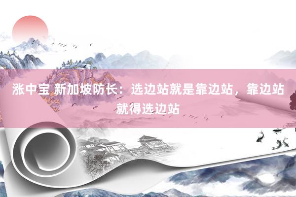 涨中宝 新加坡防长：选边站就是靠边站，靠边站就得选边站