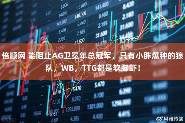 倍顺网 能阻止AG卫冕年总冠军，只有小胖爆种的狼队，WB，TTG都是软脚虾！