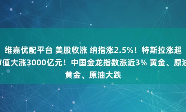 维嘉优配平台 美股收涨 纳指涨2.5%！特斯拉涨超5% 市值大涨3000亿元！中国金龙指数涨近3% 黄金、原油大跌