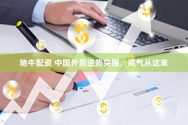驰牛配资 中国外贸逆势突围，底气从这来