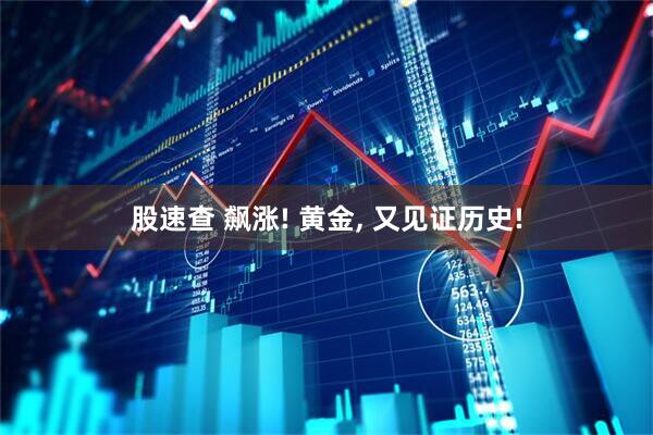 股速查 飙涨! 黄金, 又见证历史!