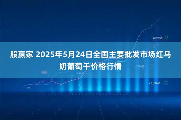 股赢家 2025年5月24日全国主要批发市场红马奶葡萄干价格行情