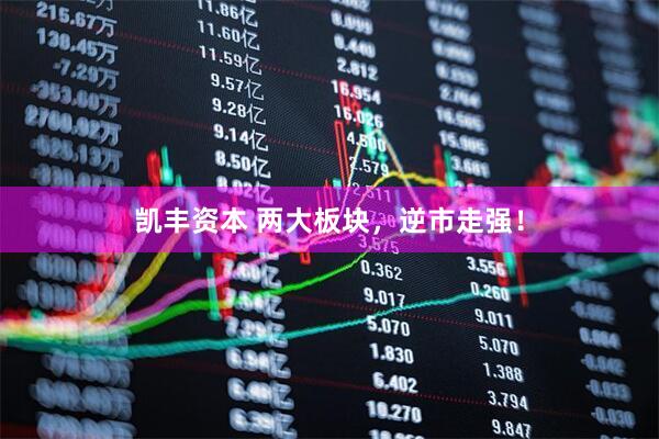 凯丰资本 两大板块，逆市走强！